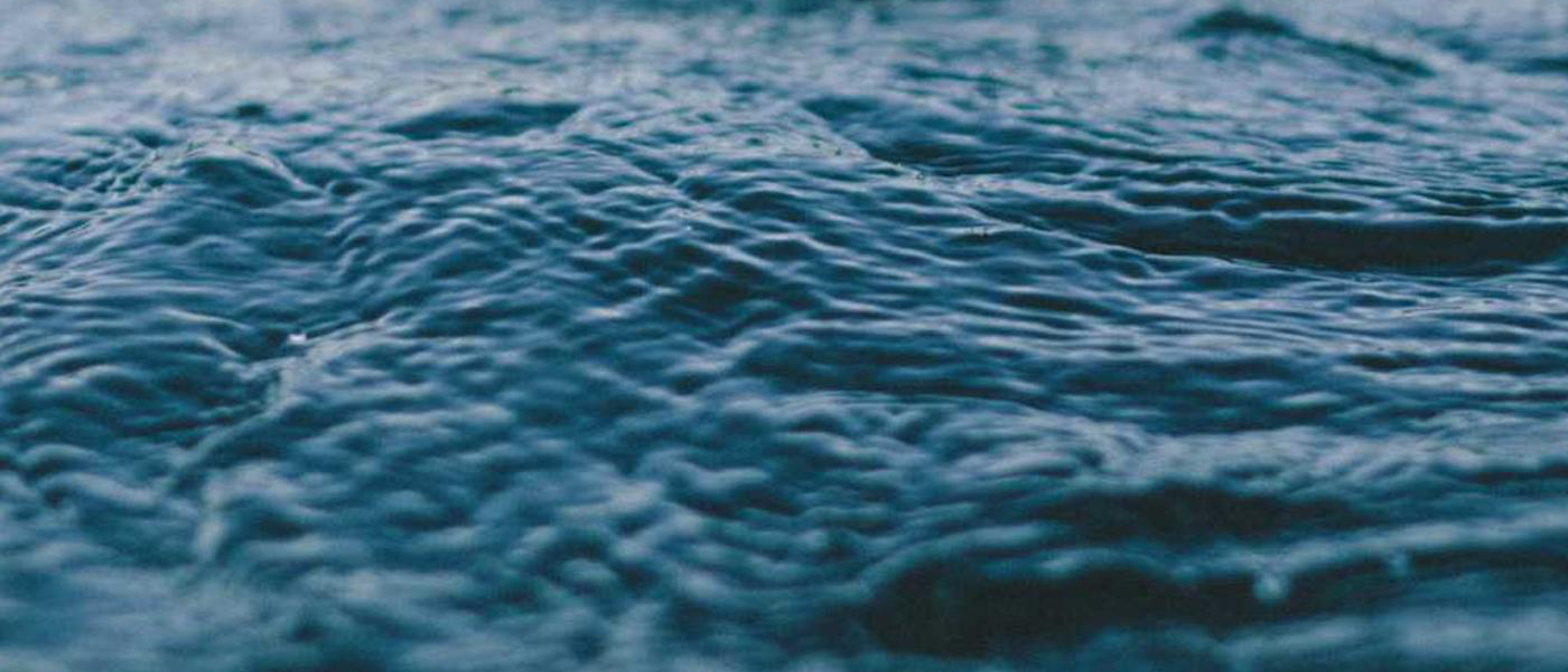 Theory and Algorithms